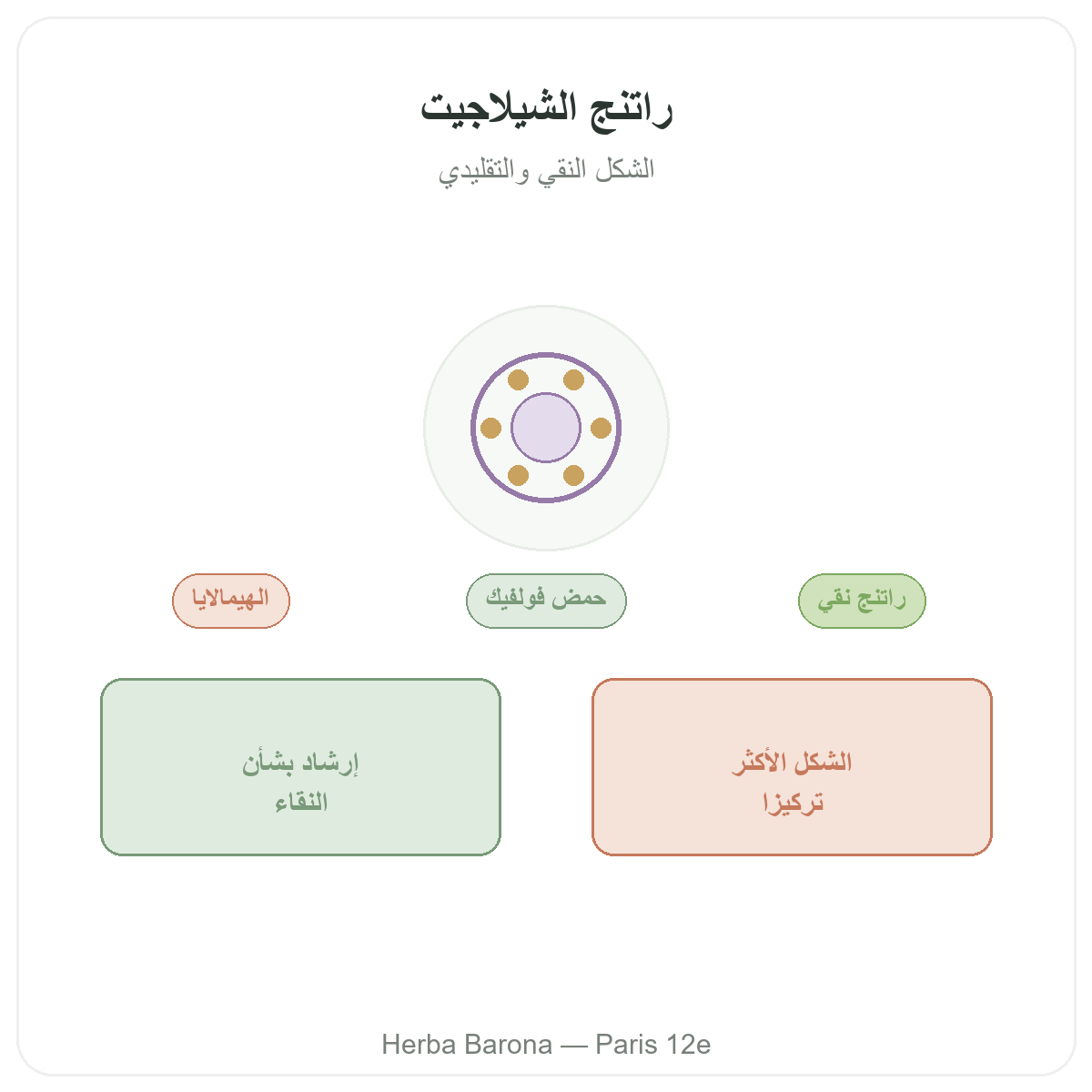شيلاجيت راتنج باريس - تقديم المنتج لدى Herba Barona باريس 12
