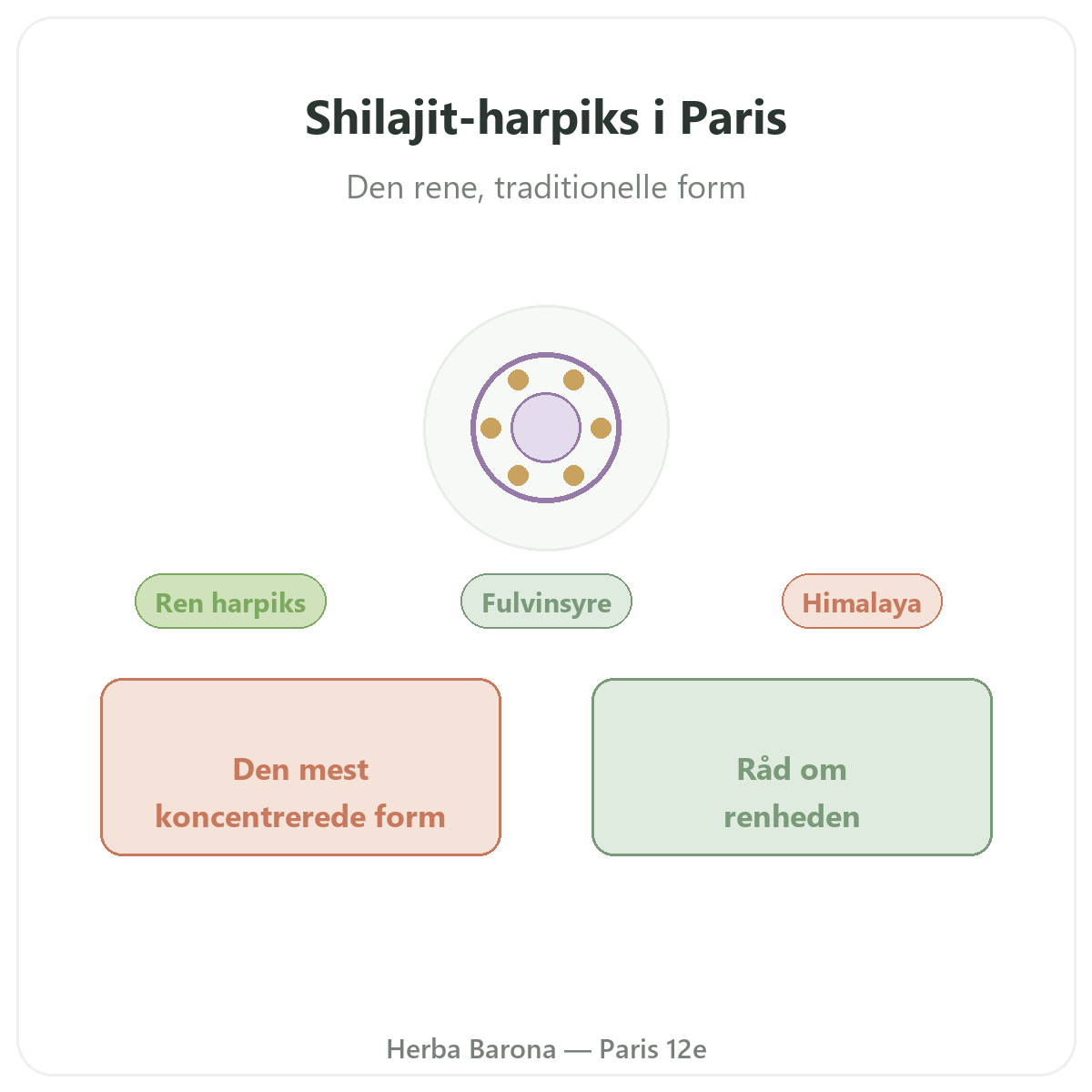 Shilajit resin Paris - præsentation af mærket hos Herba Barona Paris 12