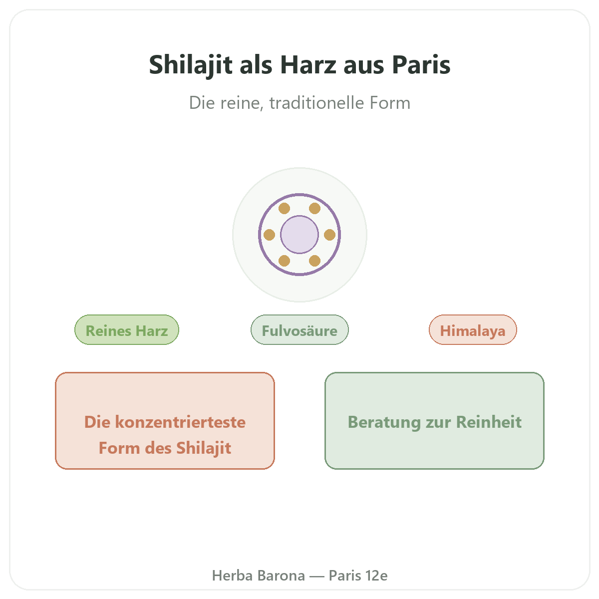 Shilajit als Harz in Paris - Vorstellung der Marke bei Herba Barona Paris 12e