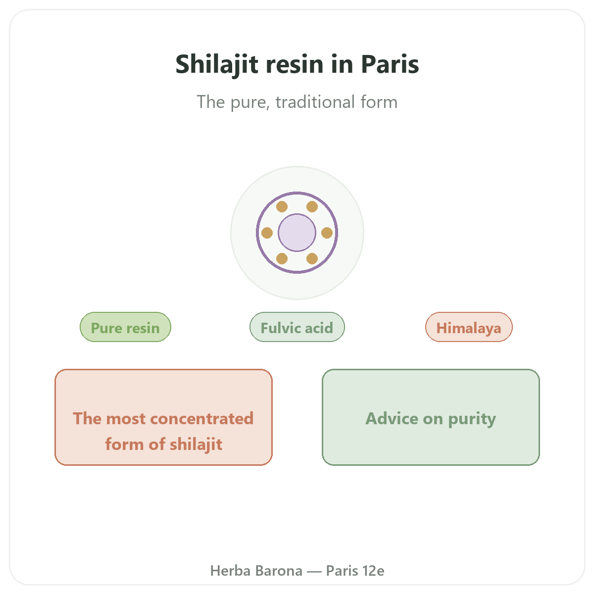 Shilajit resin in Paris - brand overview at Herba Barona Paris 12th