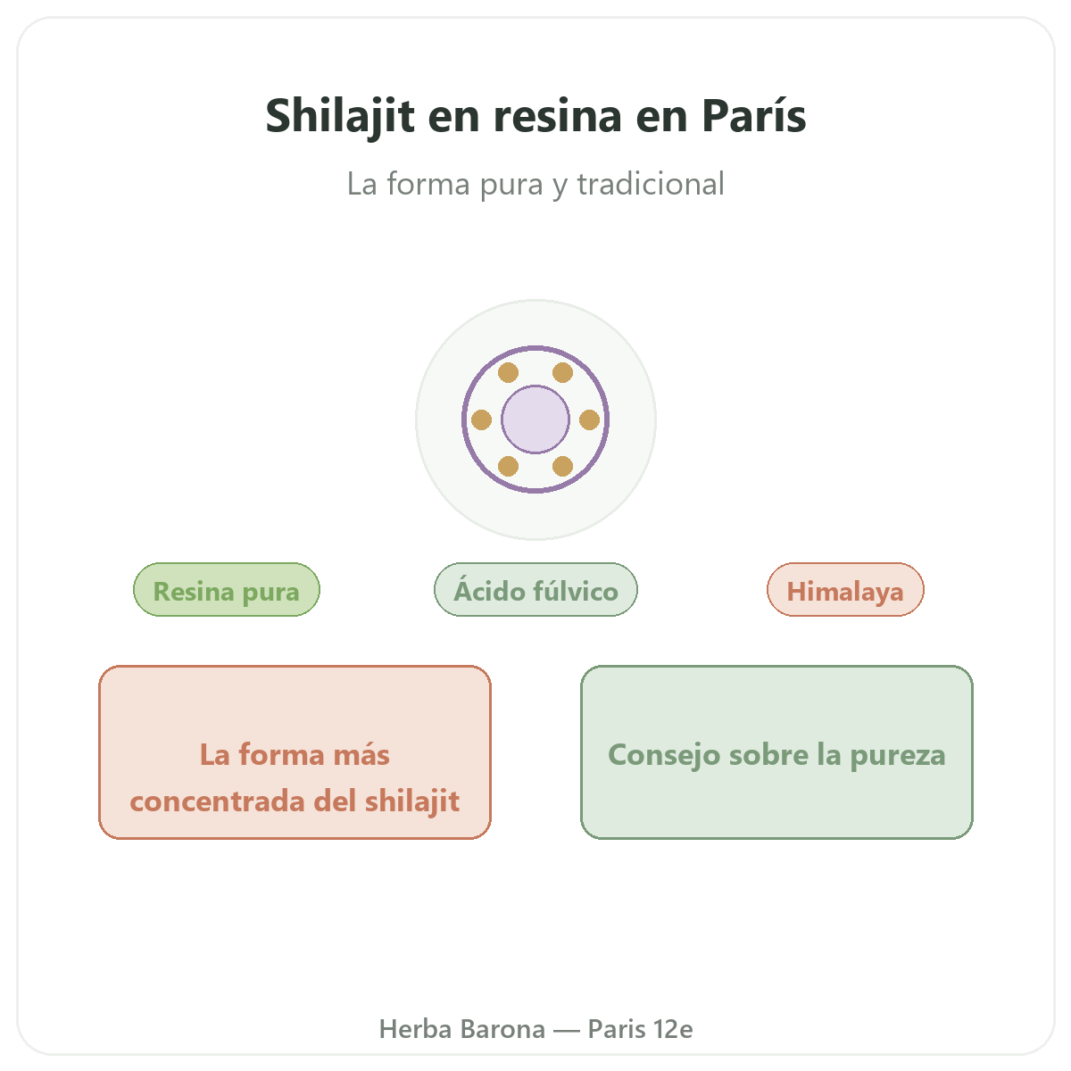 Shilajit en resina Paris - presentacion de la marca en Herba Barona Paris 12e