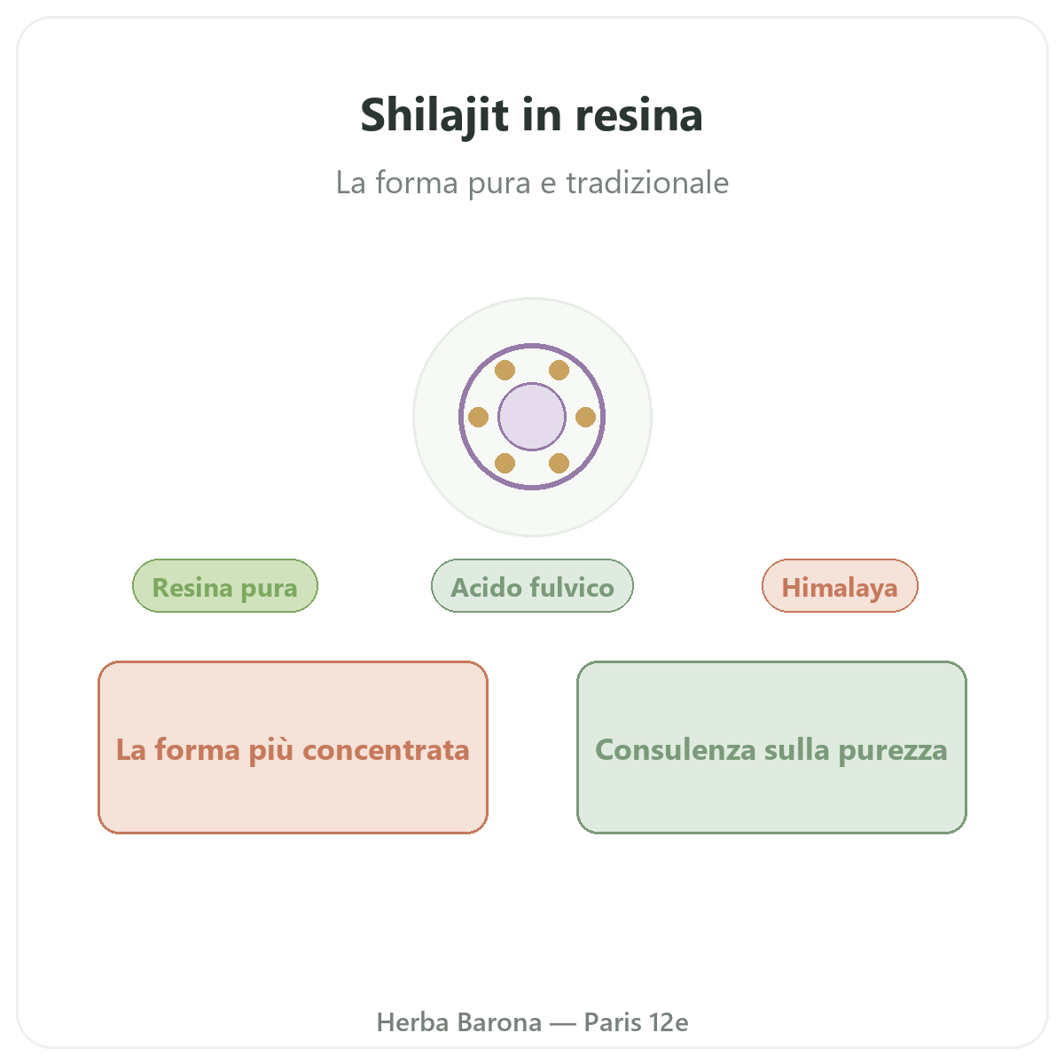 Shilajit in resina Parigi - presentazione del marchio da Herba Barona Parigi 12e