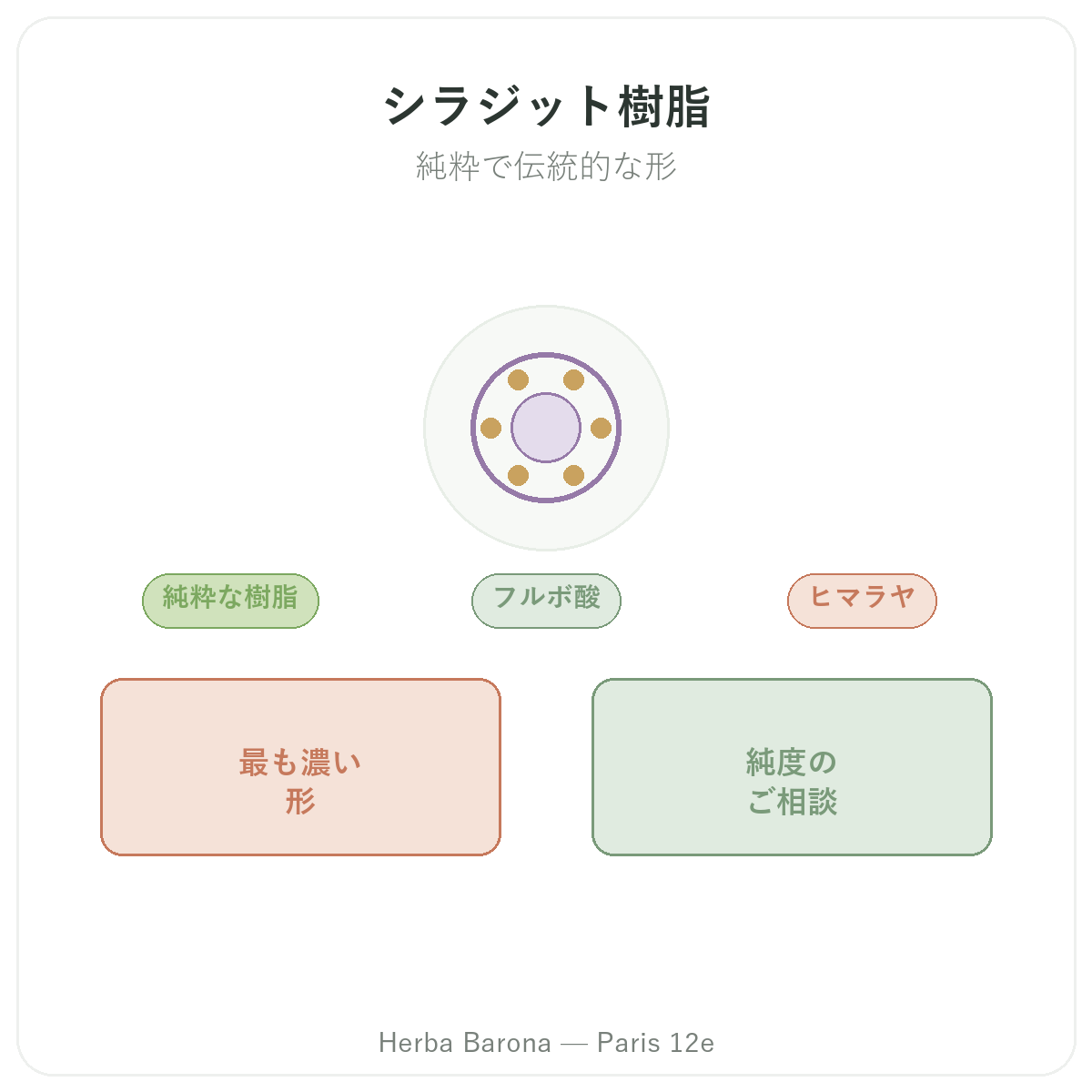レジン状シラジット パリ - Herba Baronaパリ12区でのブランド紹介