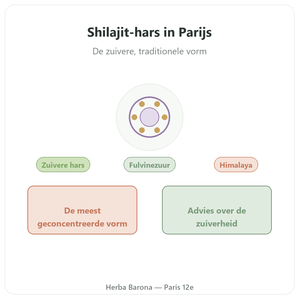 Shilajit resine Paris Paris - presentation de la marque chez Herba Barona Paris 12e