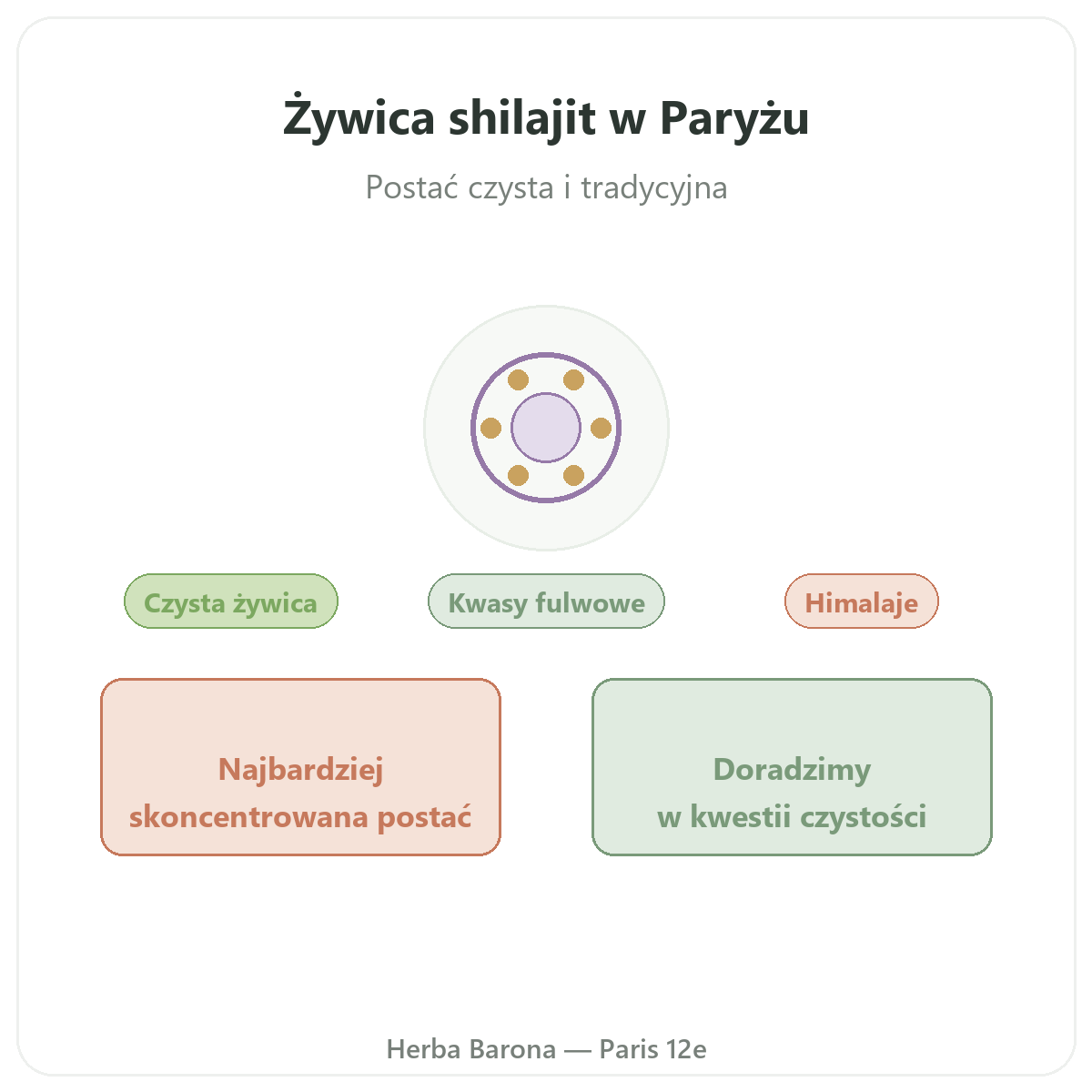 Żywica shilajit - prezentacja marki w Herba Barona, Paryż 12
