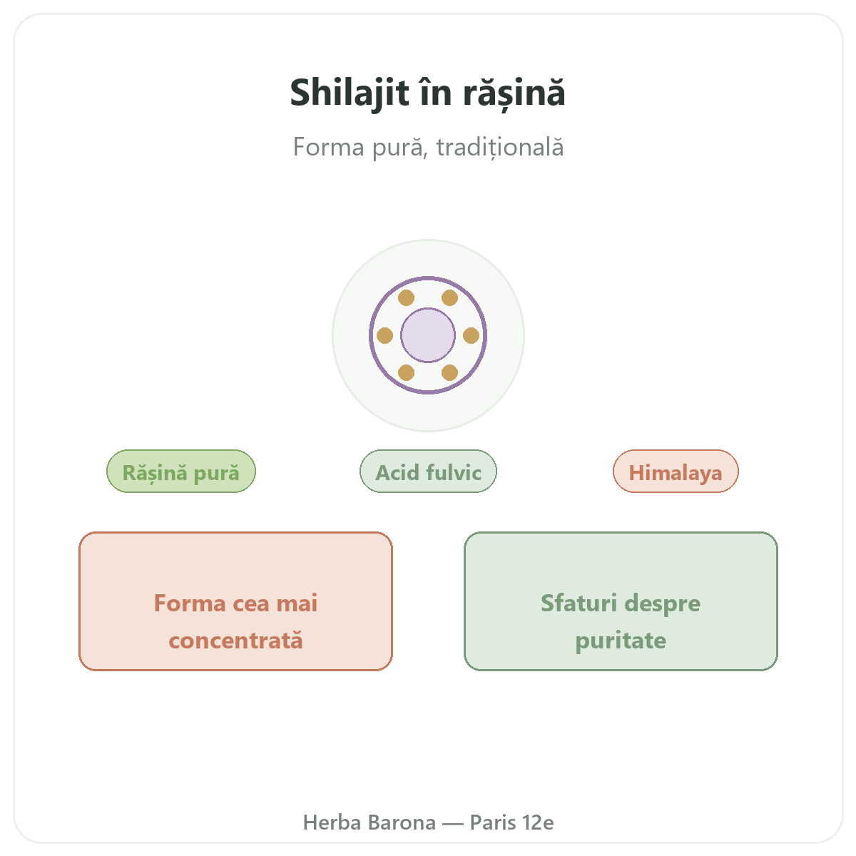 Rășină de shilajit Paris - prezentarea mărcii la Herba Barona, Paris, arondismentul 12