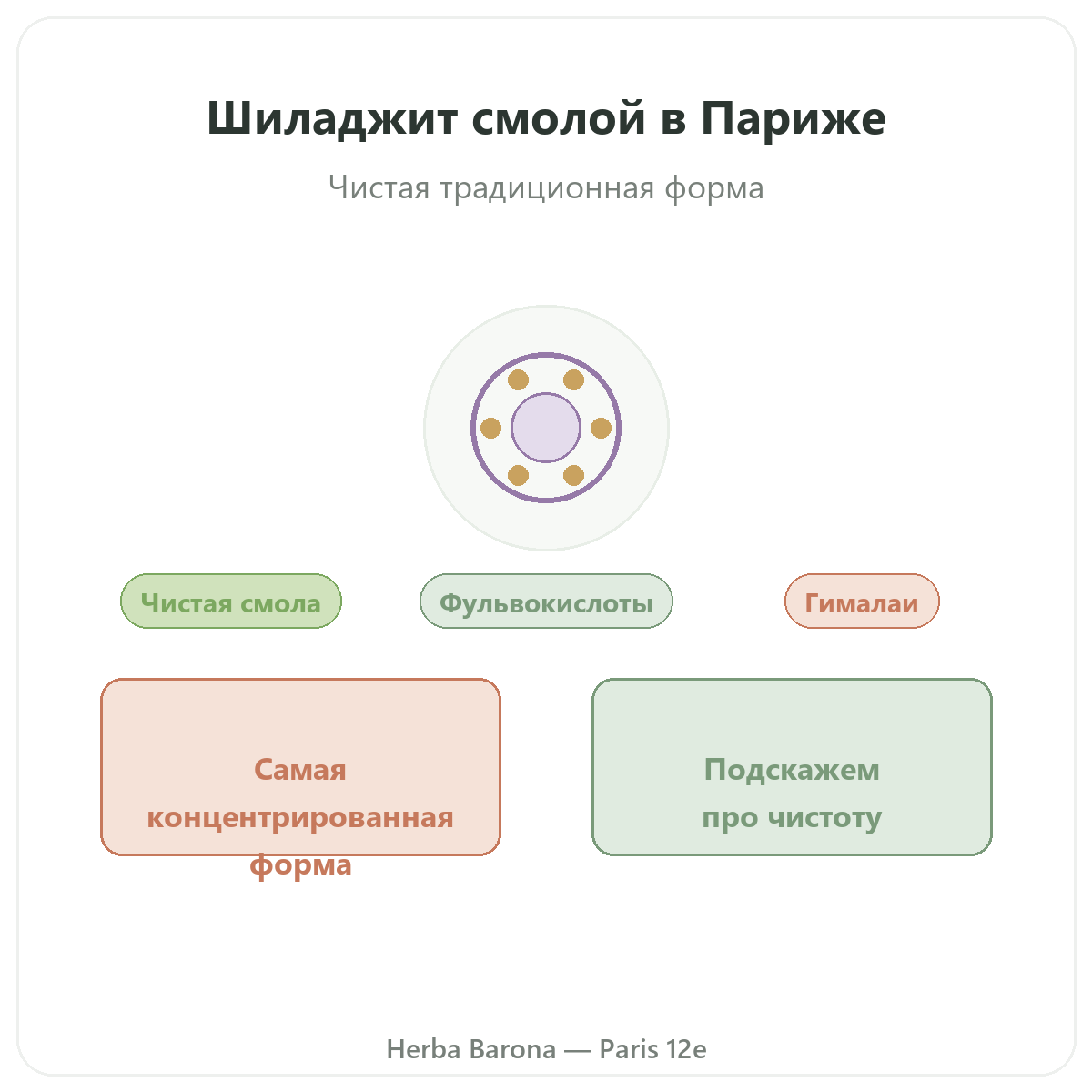 Шиладжит в смоле Париж — презентация в Herba Barona, Париж, 12-й округ