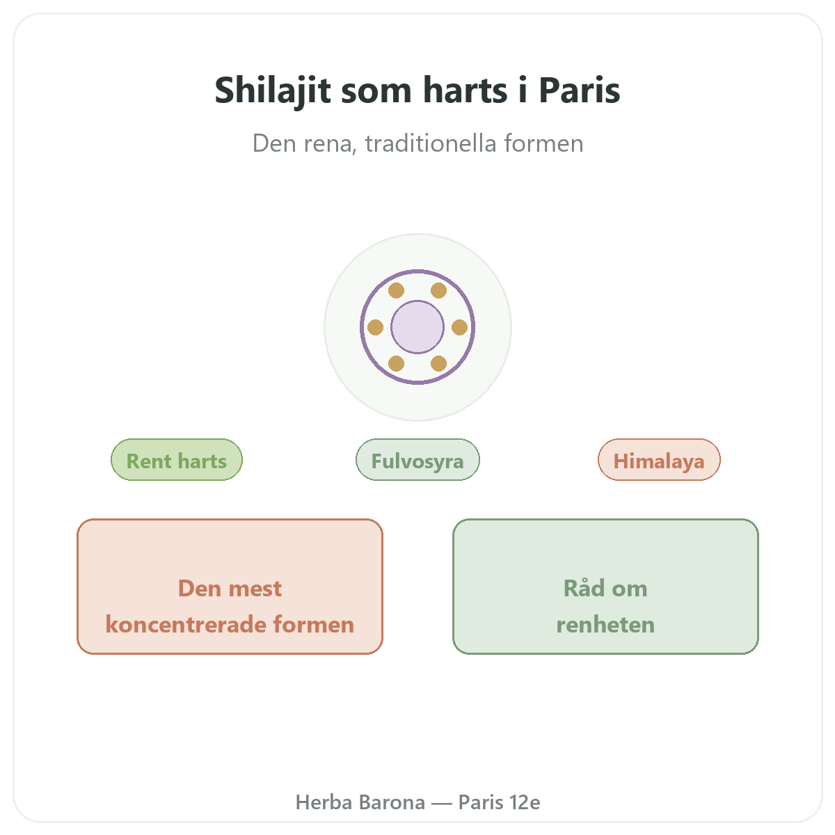 Shilajit harts Paris - presentation av varumärket hos Herba Barona Paris 12e