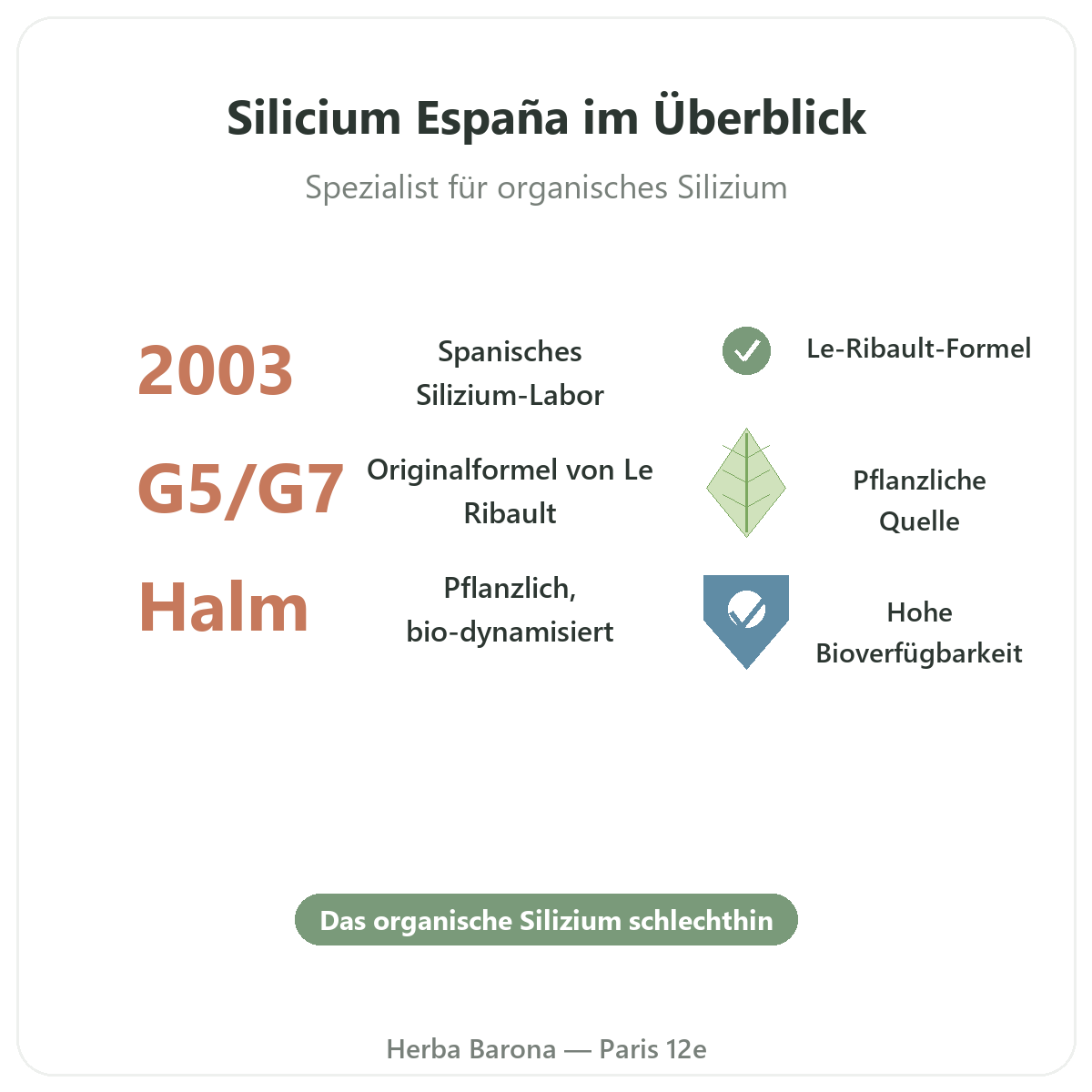 Silicium España auf einen Blick - organisches Silizium Loïc Le Ribault