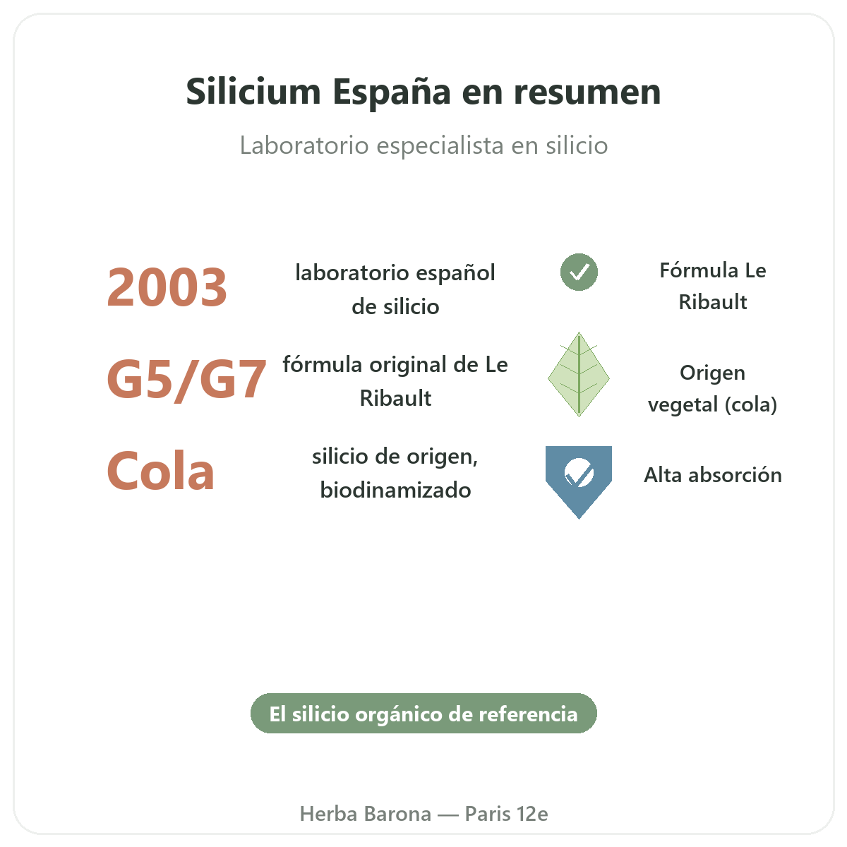 Silicium España en resumen - silicio orgánico Loïc Le Ribault