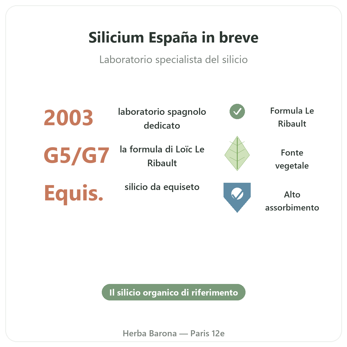 Silicium España in breve - silicio organico Loïc Le Ribault
