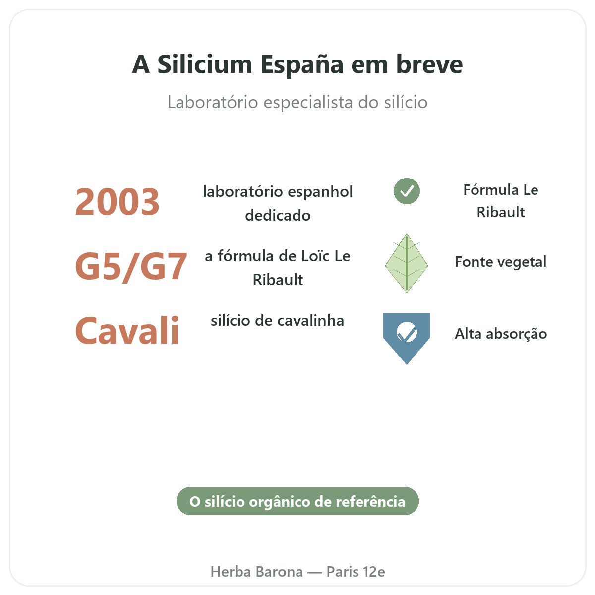 Silicium España em resumo - silício orgânico Loïc Le Ribault