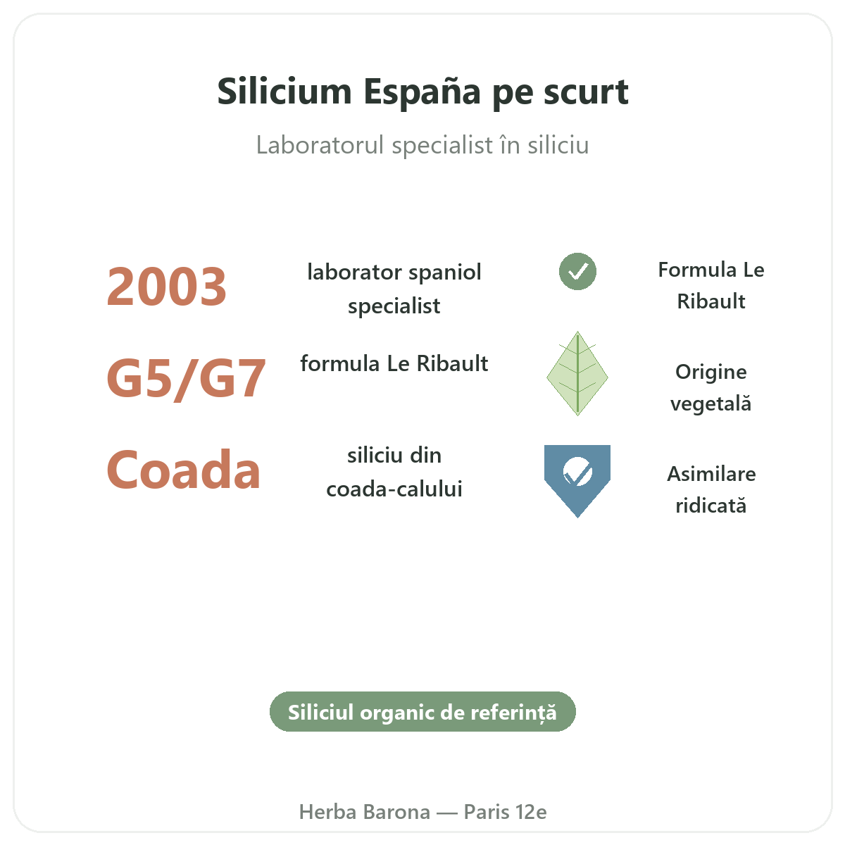 Silicium España pe scurt - siliciu organic Loïc Le Ribault