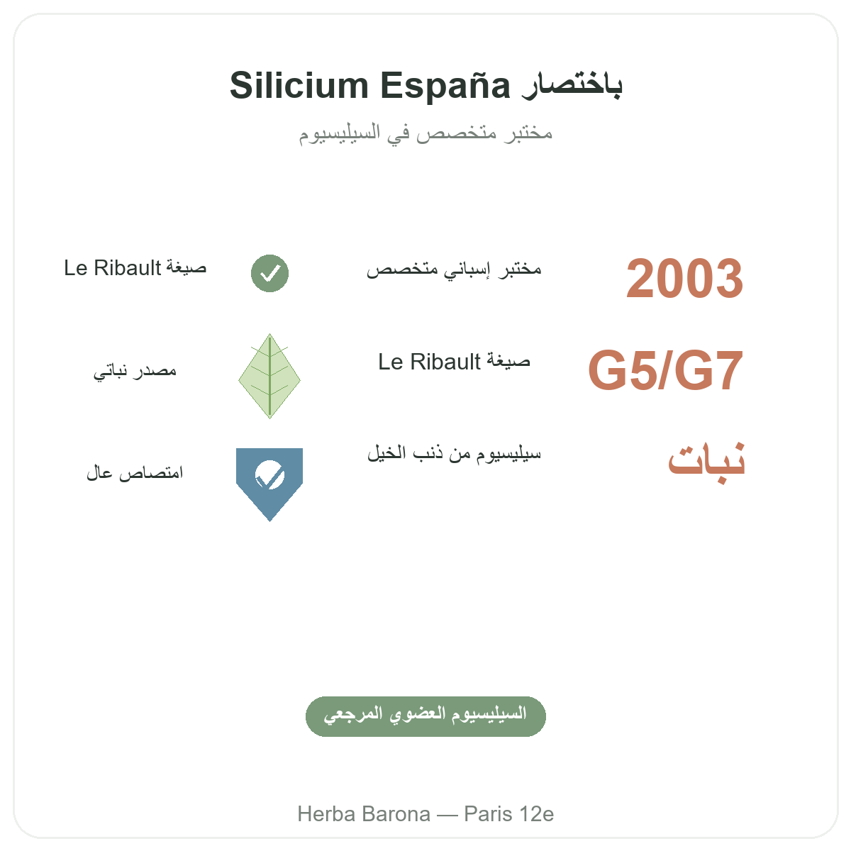 Silicium Espana Paris en bref - chiffres cles chez Herba Barona Paris 12e