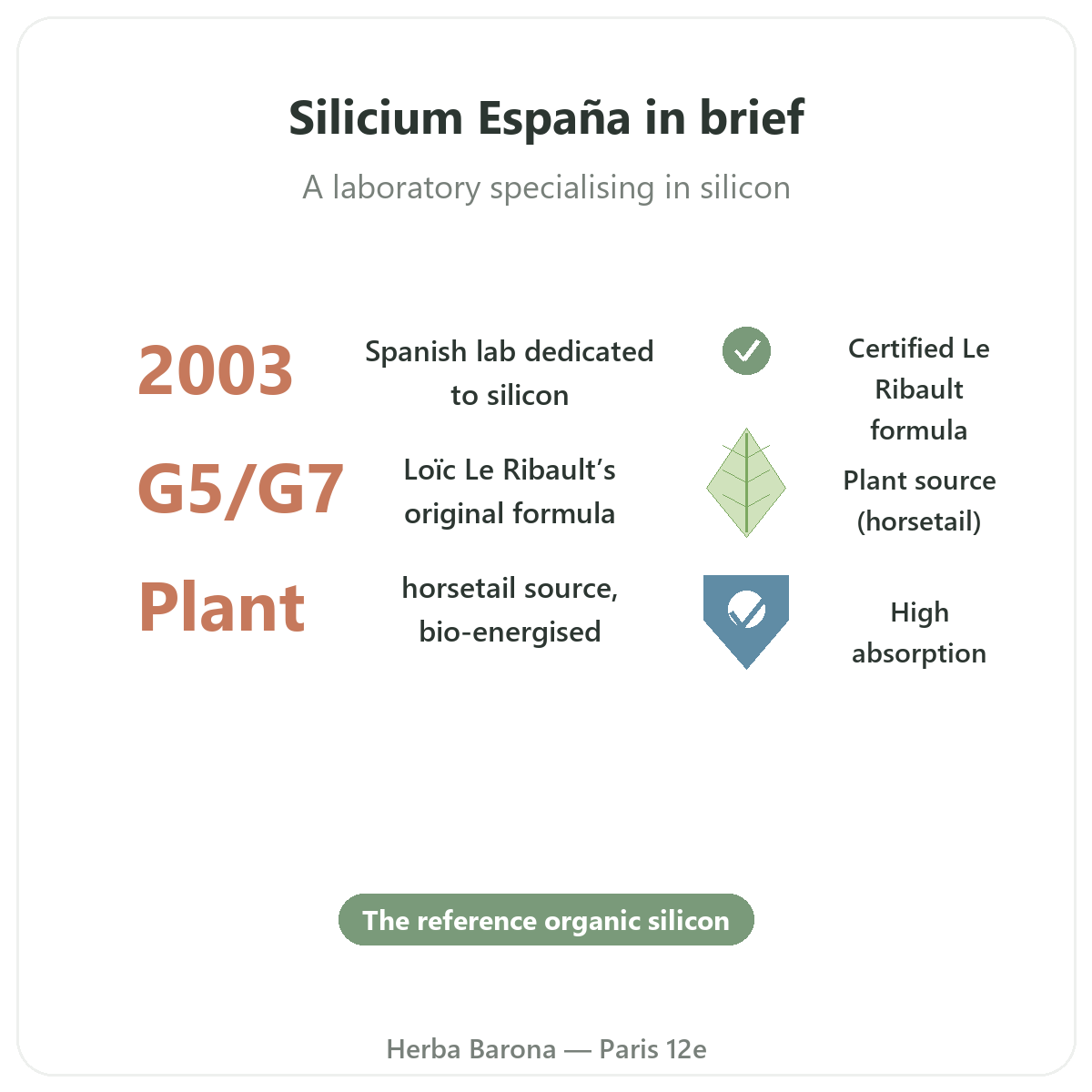Silicon Paris at a glance - key facts at Herba Barona Paris 12e