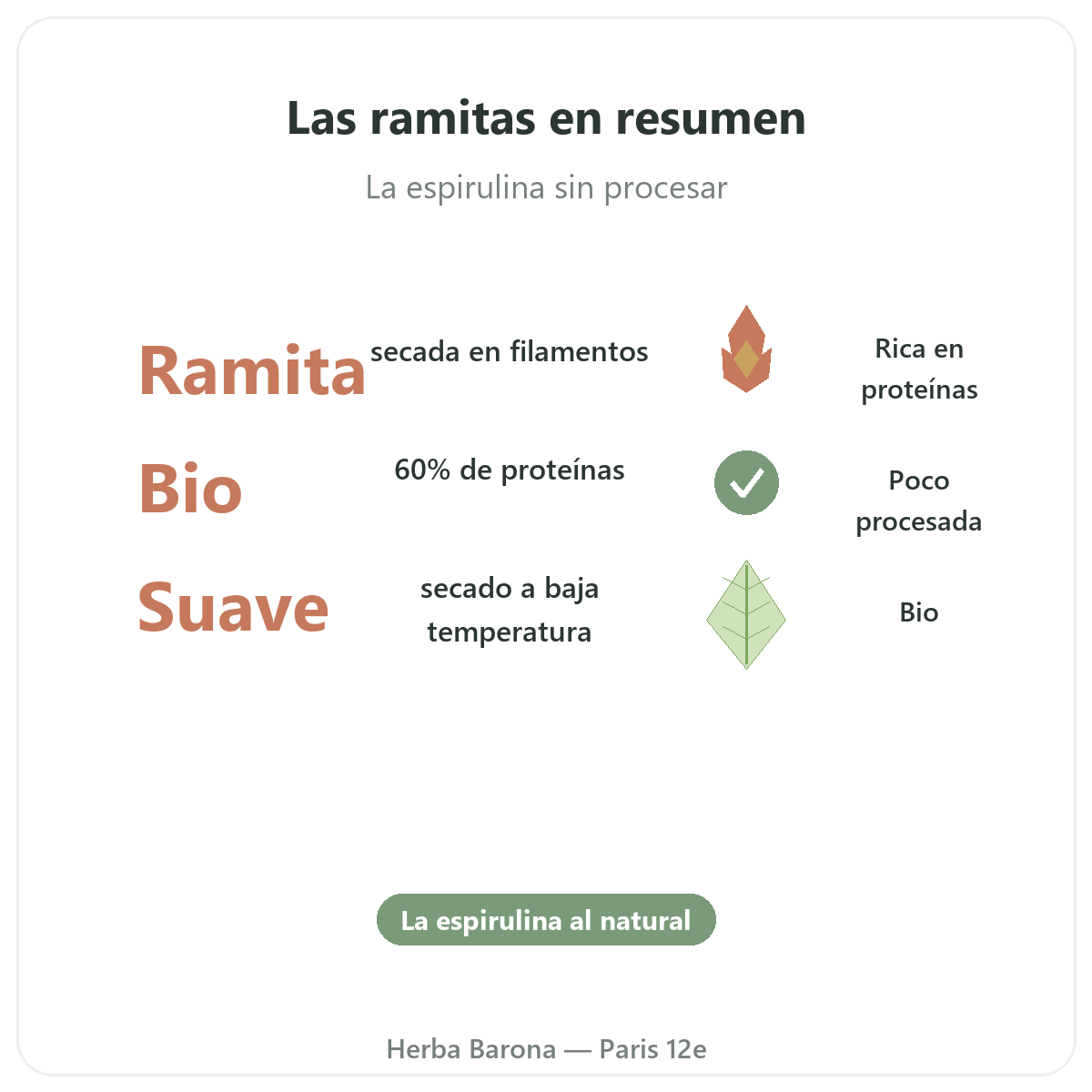 Espirulina en ramitas Paris en breve - cifras clave en Herba Barona Paris 12e