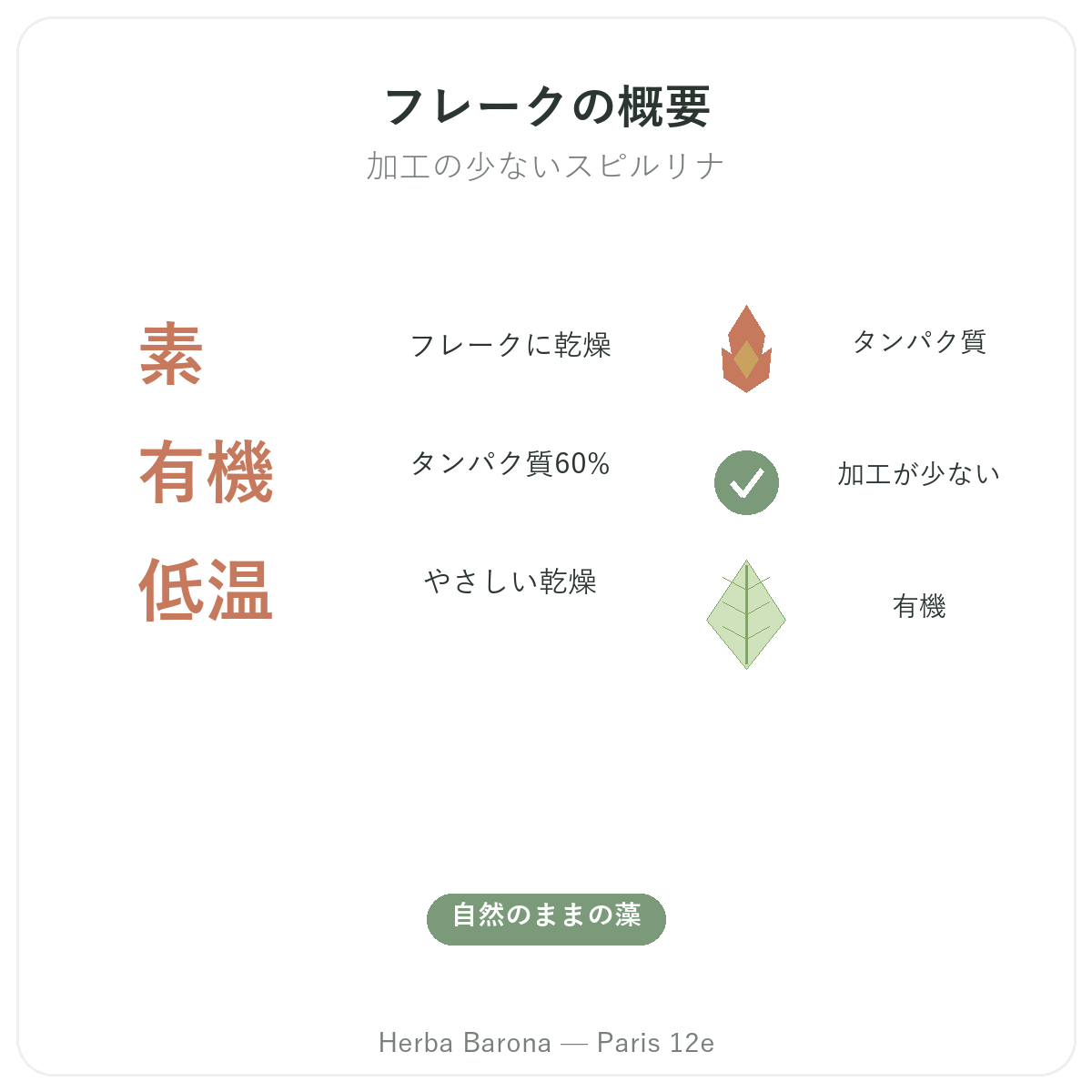 スティックスピルリナ パリ 概要 - Herba Baronaパリ12区での主要データ