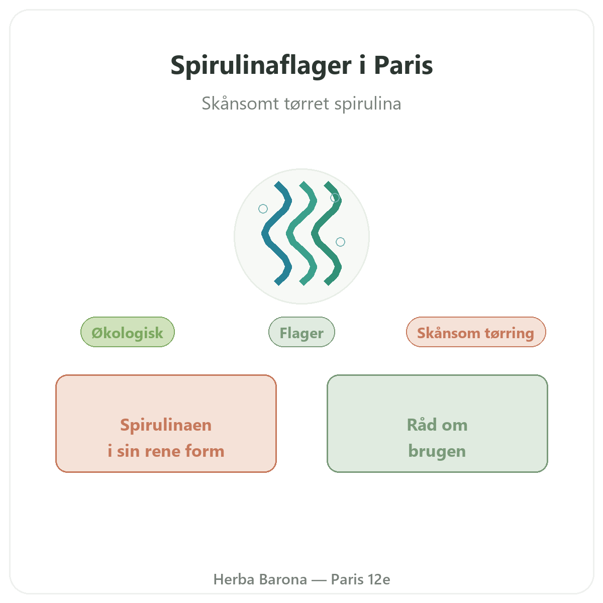 Spirulina i kviste Paris - præsentation af mærket hos Herba Barona Paris 12