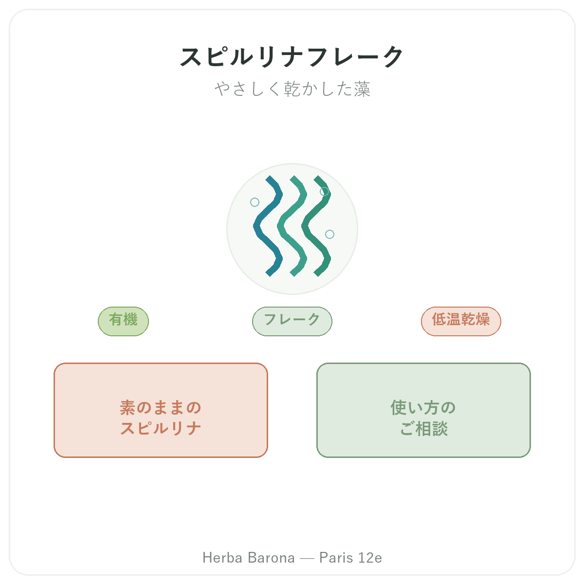 スティックスピルリナ パリ - Herba Baronaパリ12区でのブランド紹介