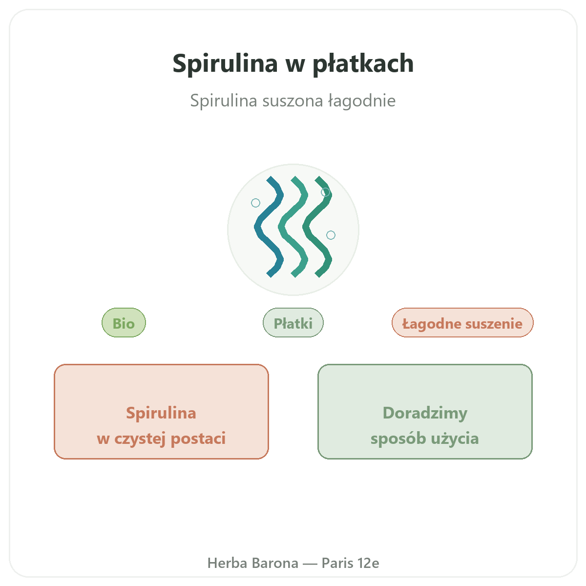 Spirulina w gałązkach - prezentacja produktu, Herba Barona Paryż