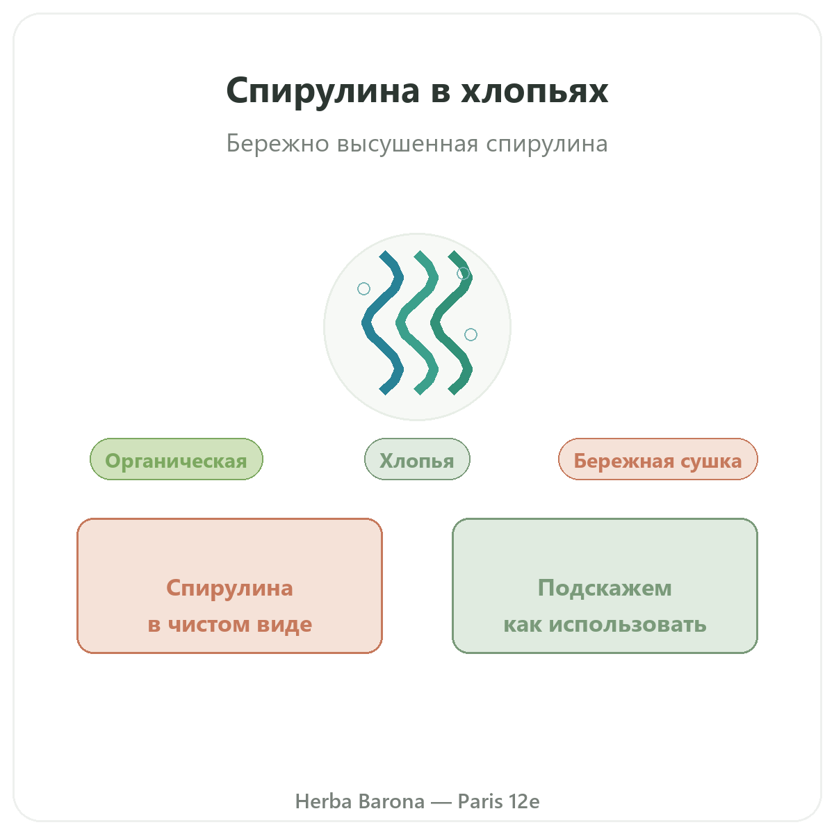 Спирулина в веточках в Париже — представление в Herba Barona, Париж, 12-й округ