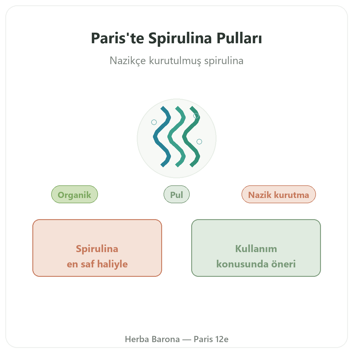 Paris Dal Spirulinası - Herba Barona Paris 12. bölgede marka tanıtımı