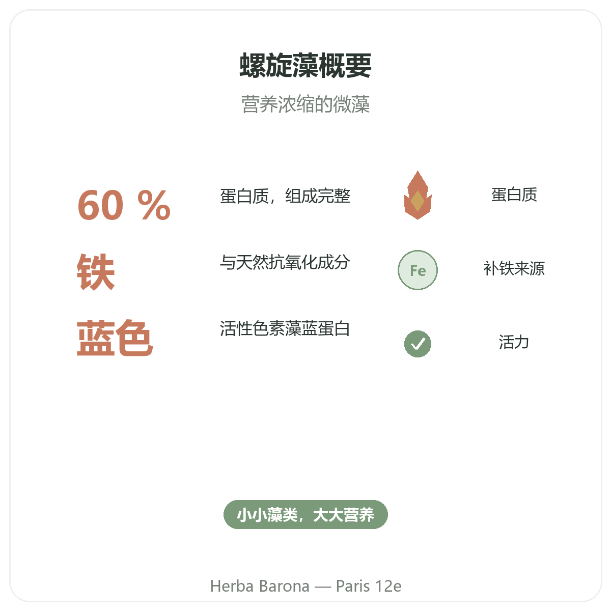 螺旋藻 巴黎 概览 - 关键数据,巴黎12区 Herba Barona