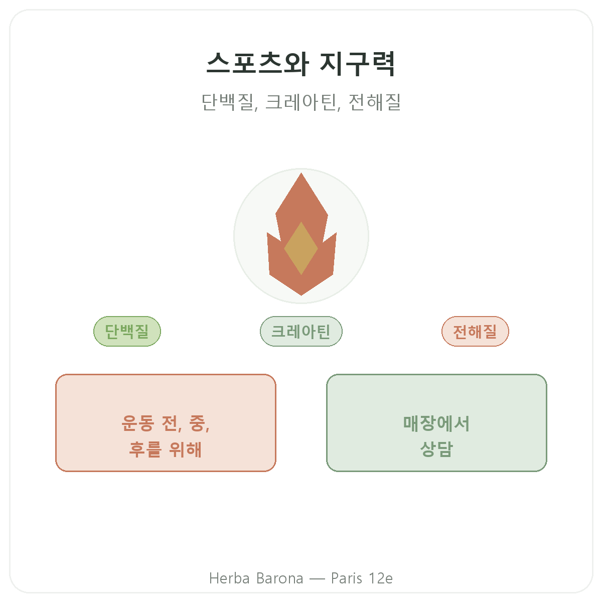 파리 스포츠와 지구력 영양제 - Herba Barona 파리 12구