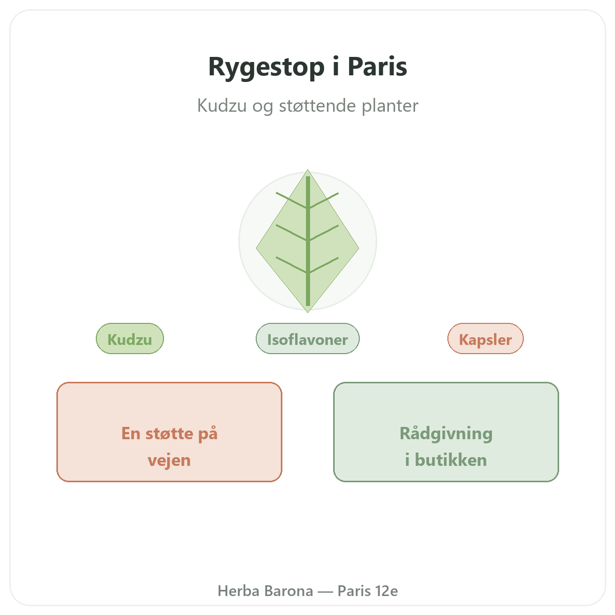 Kosttilskud til rygestop i Paris - hos Herba Barona Paris 12