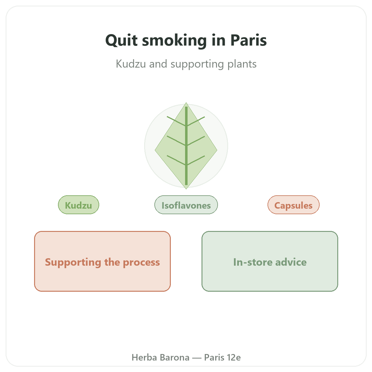 Quit-smoking supplements in Paris - at Herba Barona Paris 12th
