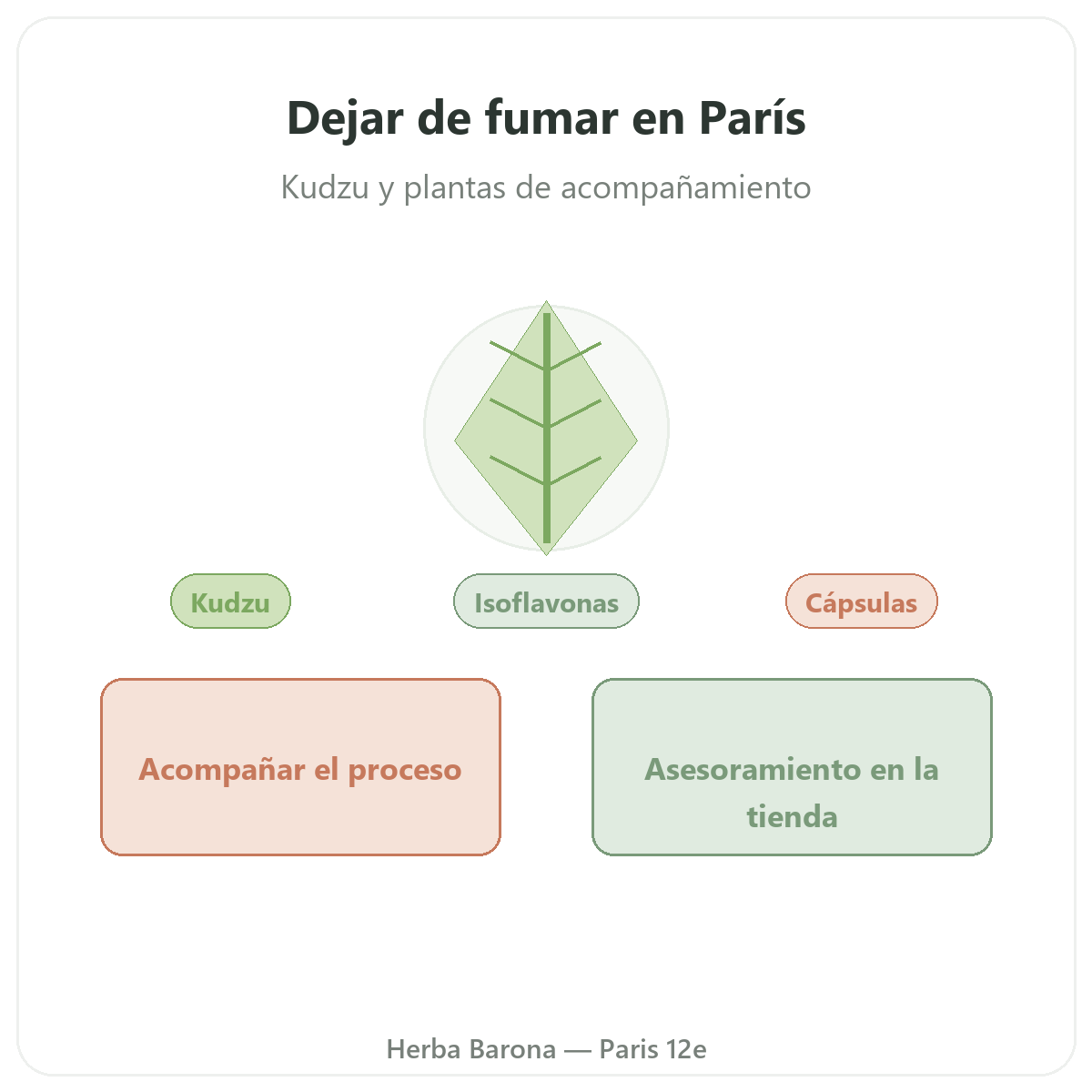 Complementos para dejar de fumar en París - en Herba Barona París 12e
