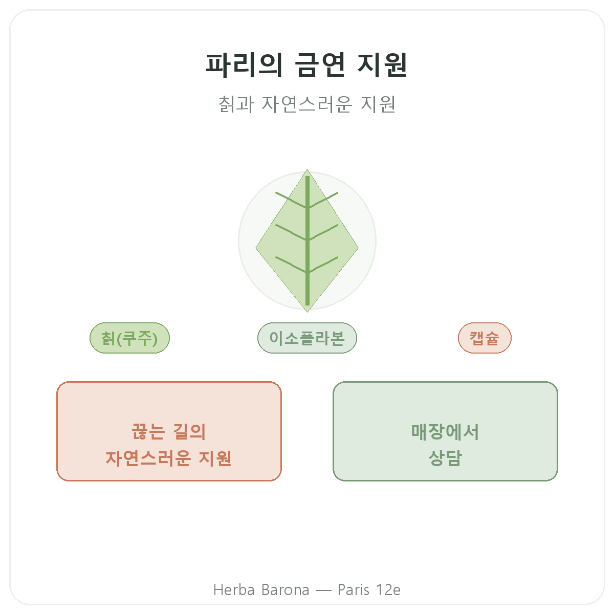 파리 금연 보조제 - Herba Barona 파리 12구 소개