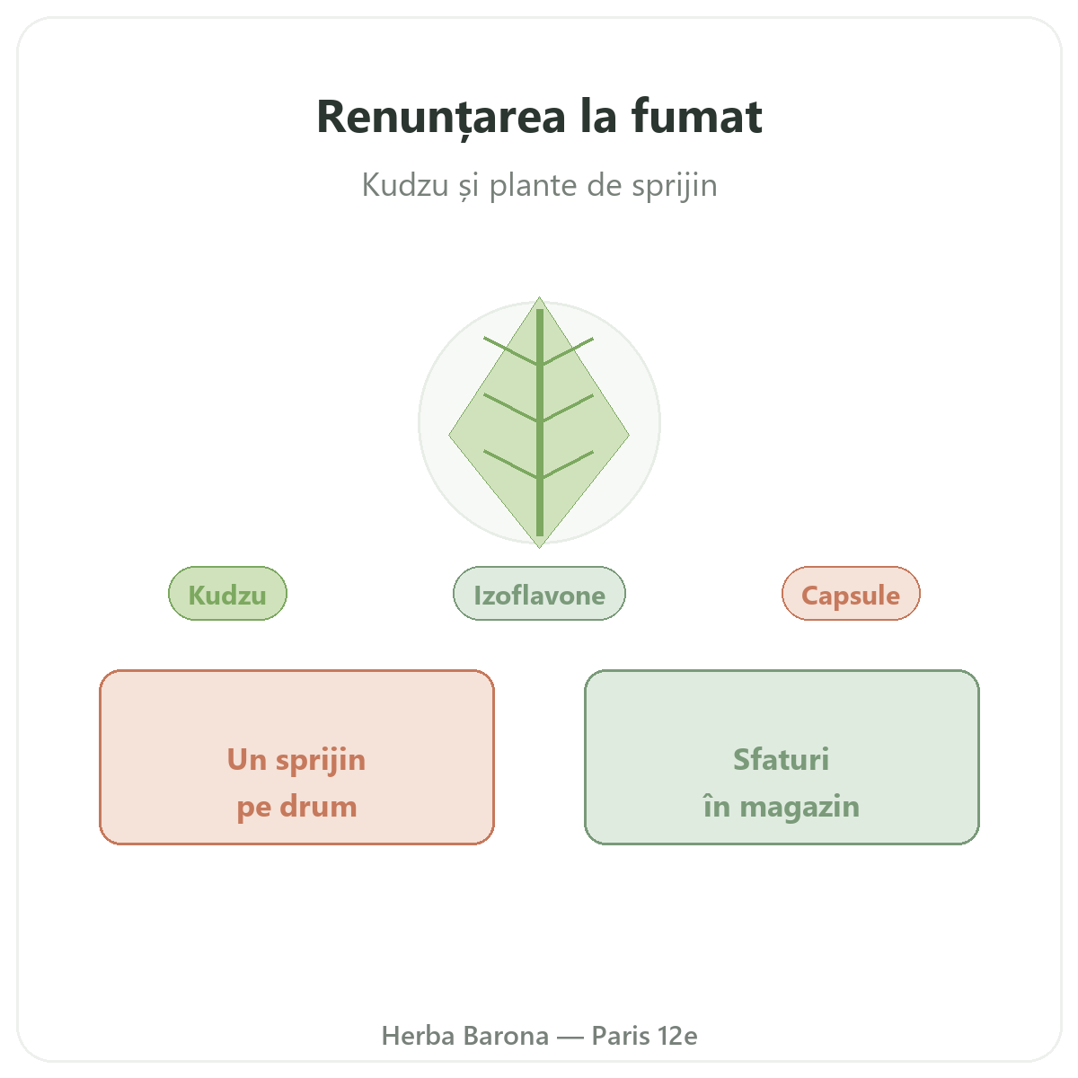 Suplimente pentru renunțarea la fumat la Paris - la Herba Barona Paris, arondismentul 12