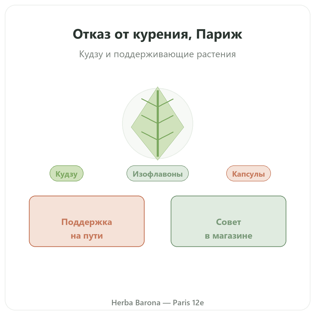 Добавки для отказа от табака в Париже — в Herba Barona Париж, 12-й округ