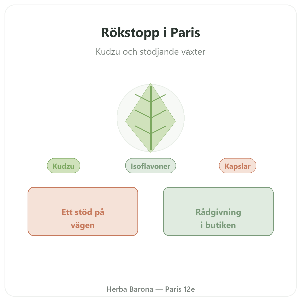 Kosttillskott för rökavvänjning i Paris – hos Herba Barona Paris 12e