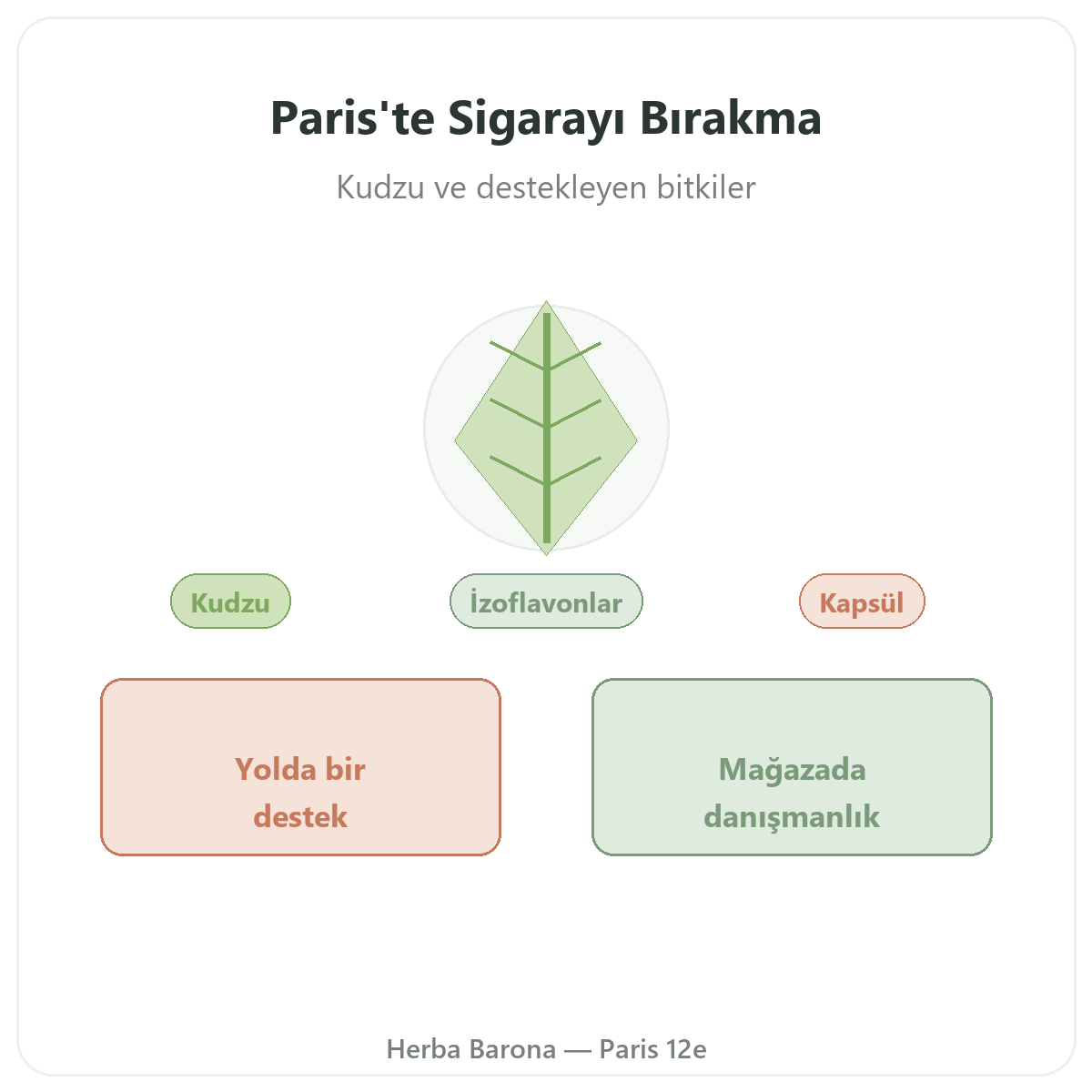 Paris’te sigara bırakma takviyeleri - Herba Barona Paris 12. bölgede