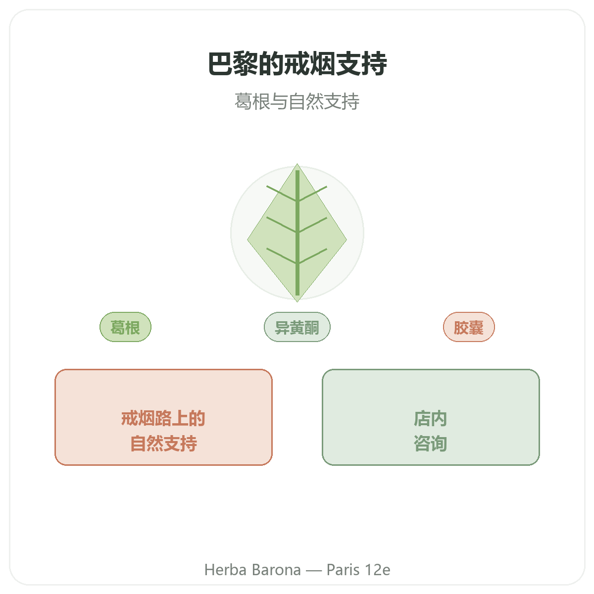 戒烟补充剂 巴黎 - Herba Barona Paris 12e 品牌介绍