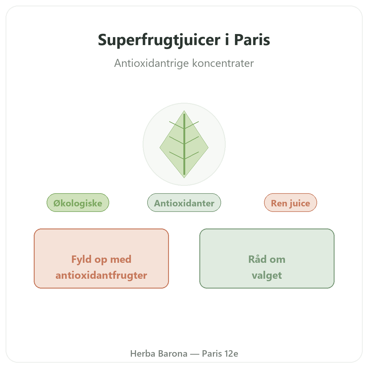 Superfrugtjuice i Paris - præsentation af mærket hos Herba Barona Paris 12