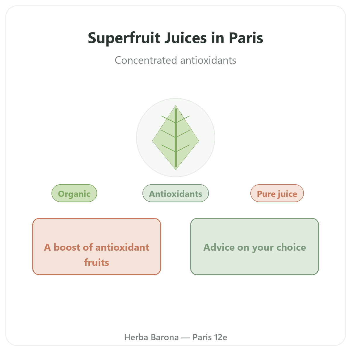 Superfruit Juices in Paris - overview at Herba Barona Paris 12e