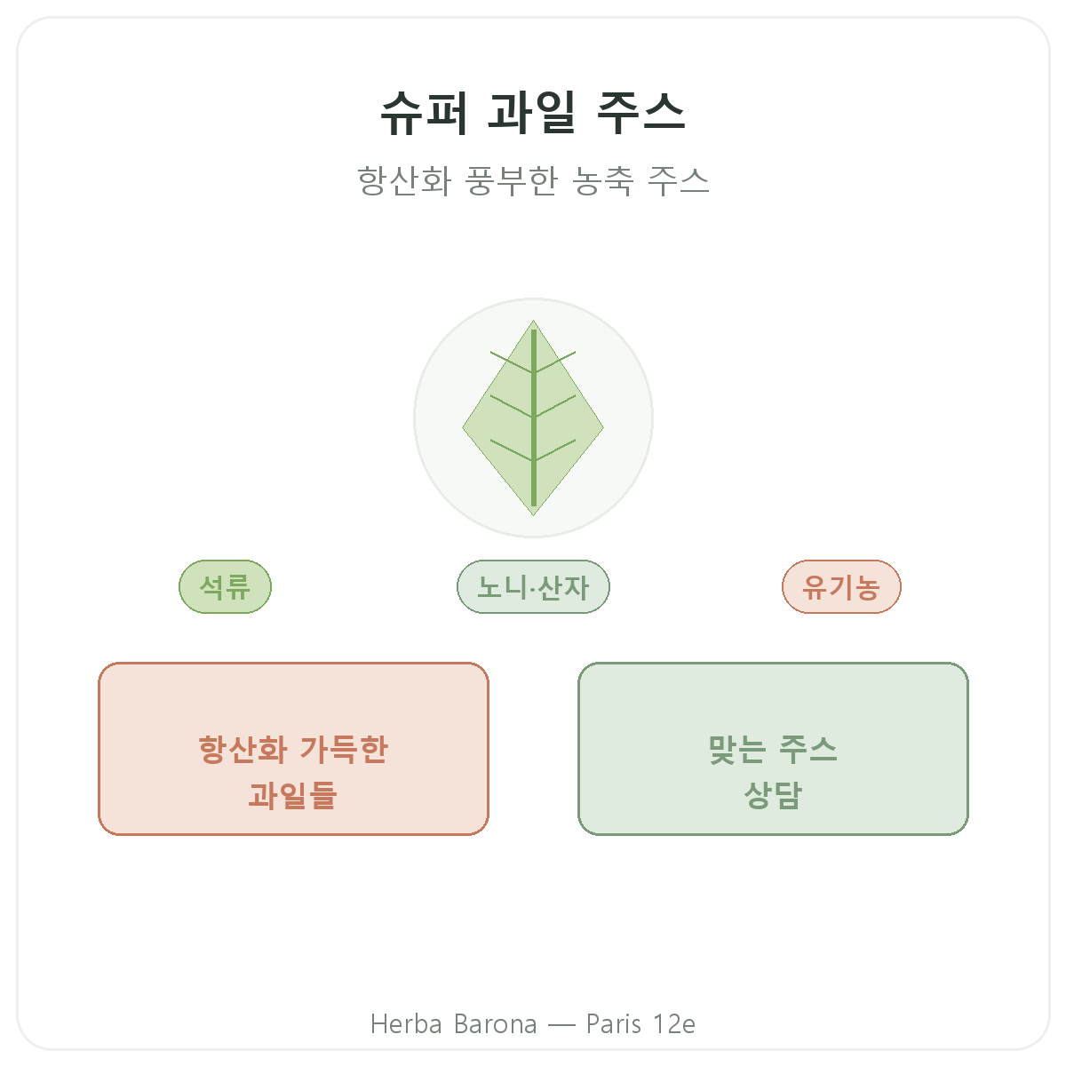 슈퍼프루트 주스 파리 - Herba Barona 파리 12구 브랜드 소개