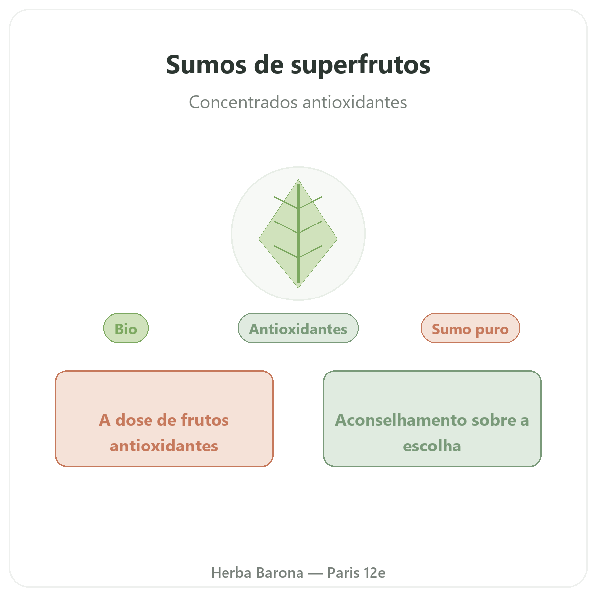 Sumos de superfrutos em Paris - apresentação da marca na Herba Barona Paris 12e