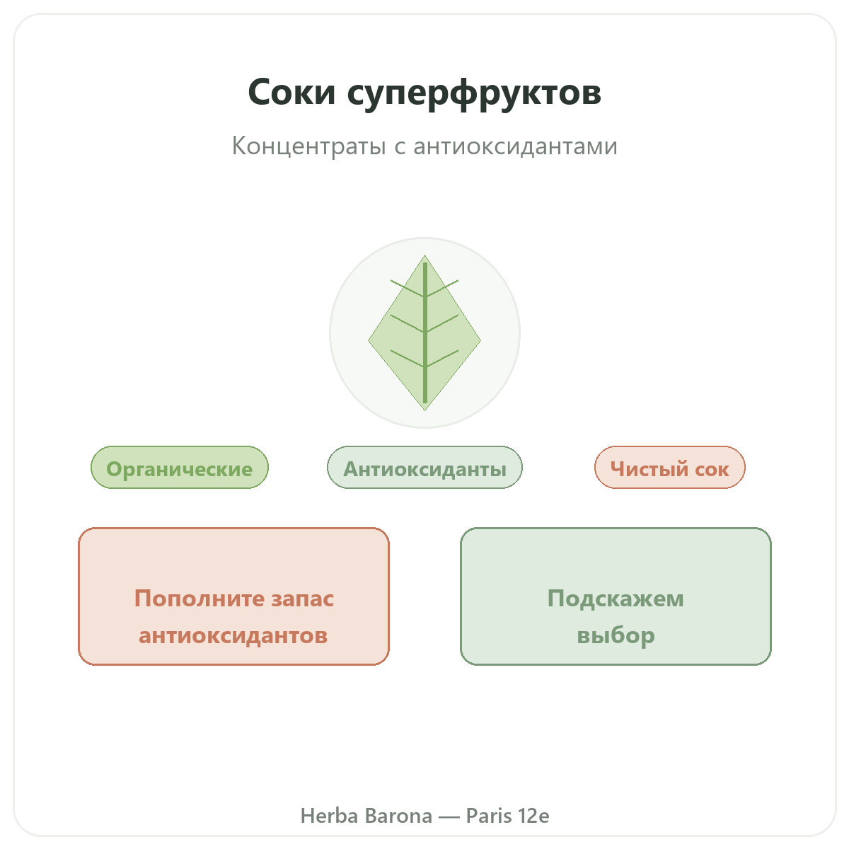 Соки из суперфруктов Париж — презентация бренда в Herba Barona, Париж, 12-й округ