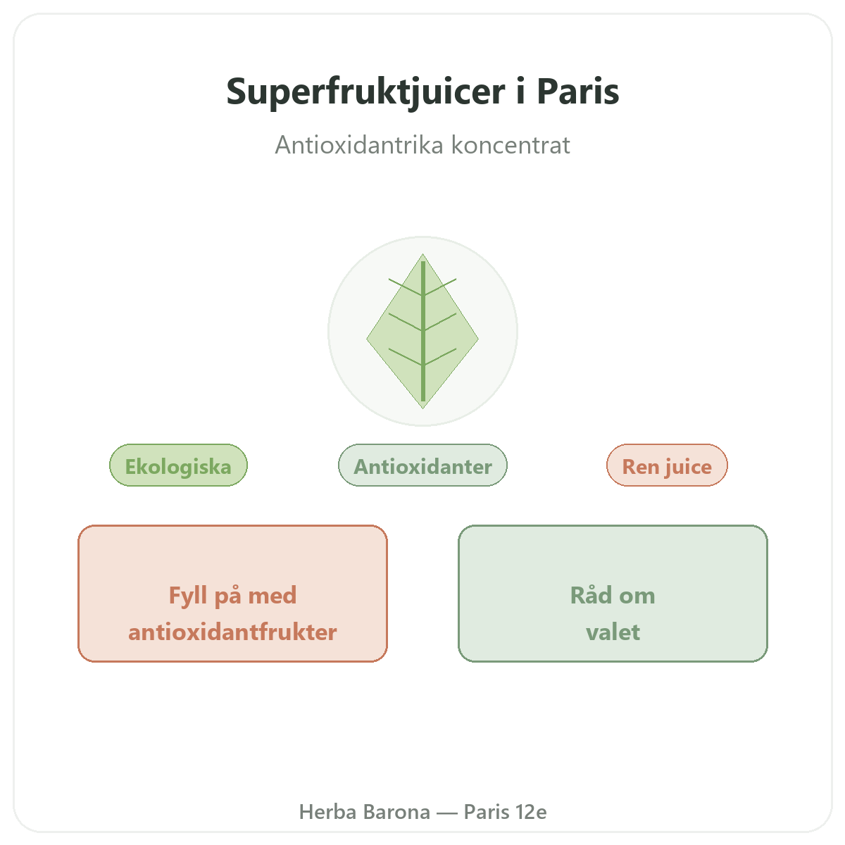Superfruktjuice Paris - presentation av varumärket hos Herba Barona Paris 12e