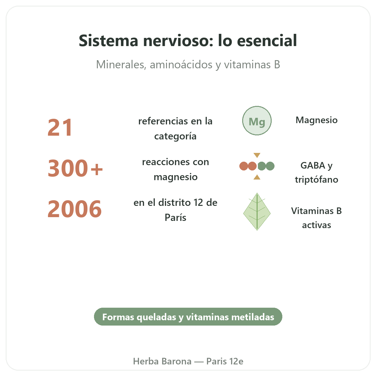 Complementos sistema nervioso en pocas palabras - cifras clave en Herba Barona Paris 12e