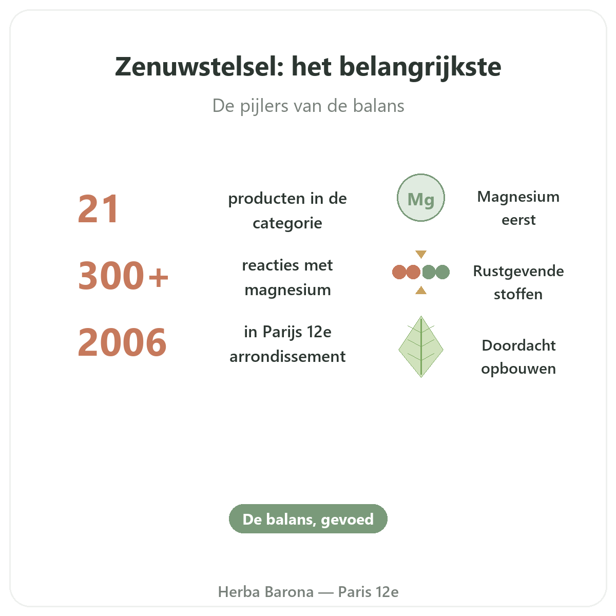 Supplementen voor het zenuwstelsel in het kort - kerncijfers bij Herba Barona Parijs