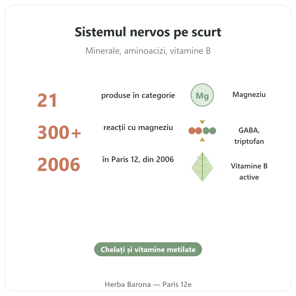 Suplimente pentru sistemul nervos pe scurt - cifre cheie la Herba Barona, Paris, arondismentul 12