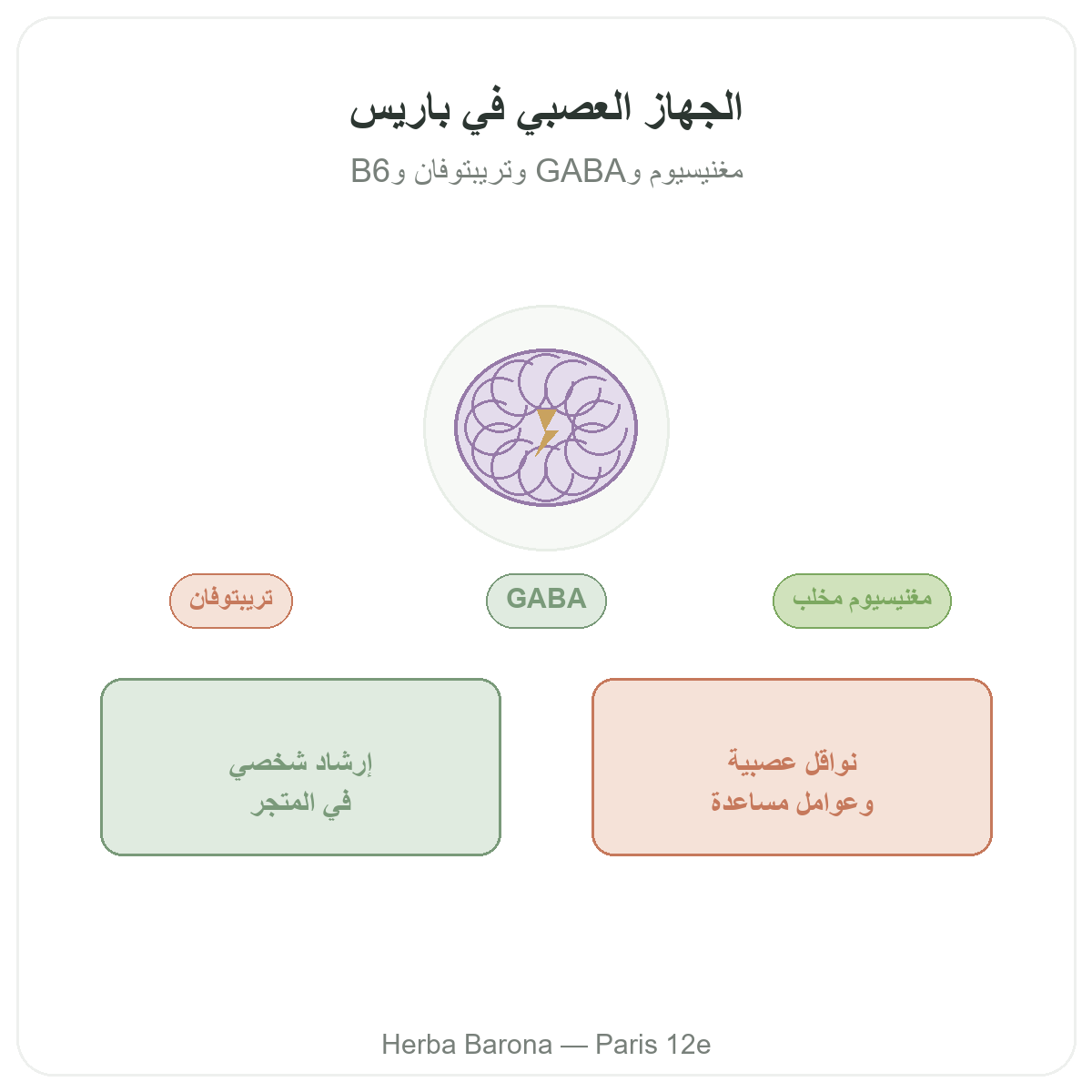 Complements systeme nerveux a Paris - chez Herba Barona Paris 12e