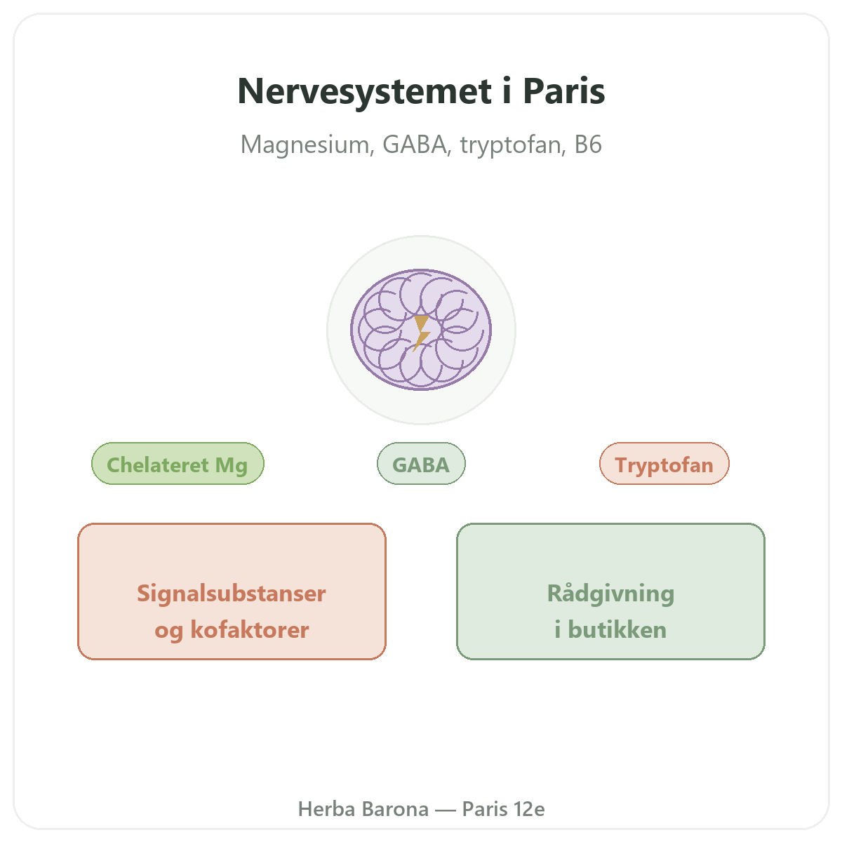 Kosttilskud til nervesystemet i Paris - hos Herba Barona Paris 12