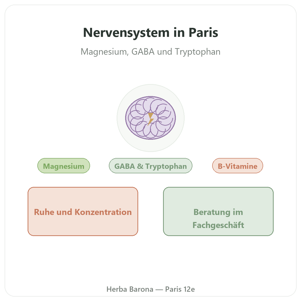 Präparate für das Nervensystem in Paris - bei Herba Barona Paris 12e
