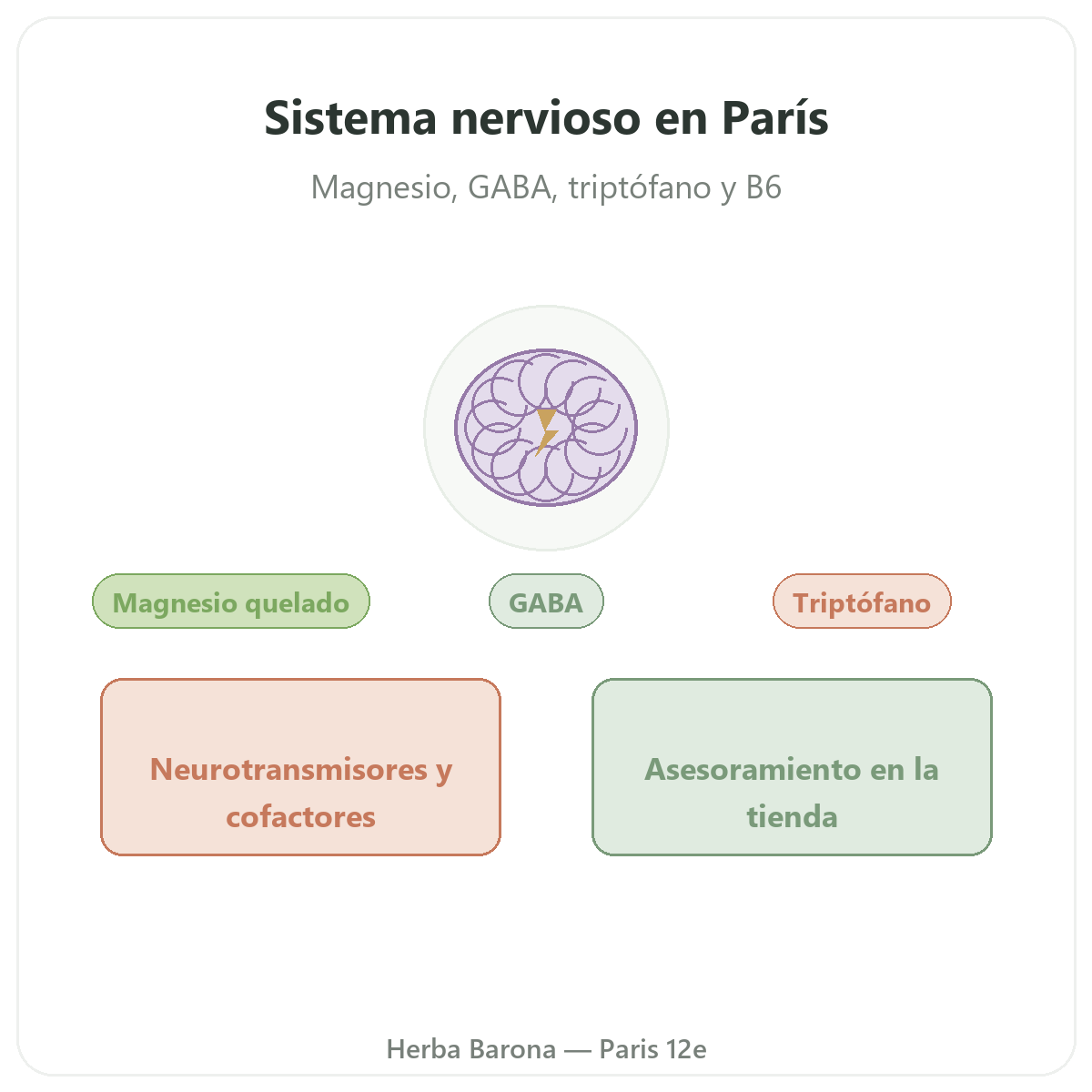 Complementos sistema nervioso en Paris - en Herba Barona Paris 12e